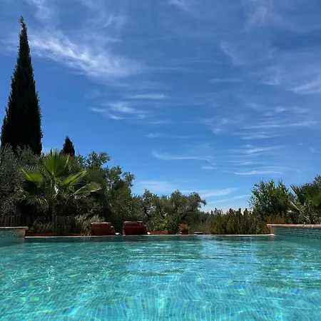 La Guzmana De * Ronda