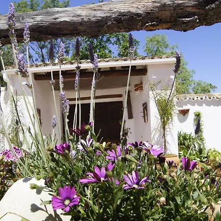 La Guzmana De Hotel