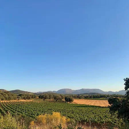 La Guzmana De * Ronda